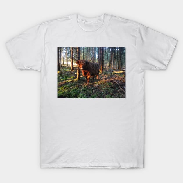 Scottish Highland Cattle Cow 2238 T-Shirt by SaarelaHighland